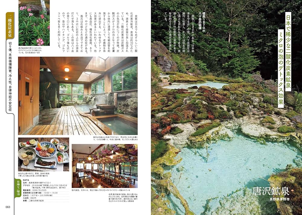 全国温泉大事典 全国温泉大事典 | 野口 冬人 |本 | 通販 | Amazon